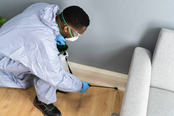 Reliable Butler, OH Pest Control Solutions